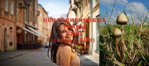 дурь Алзамай