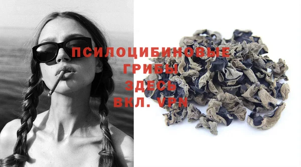 дурь Алзамай