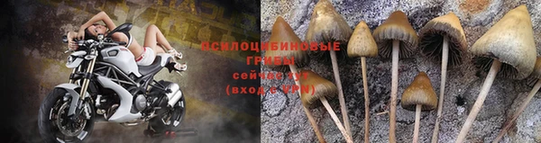 скорость Алексин