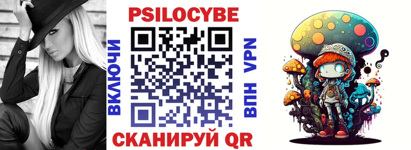 Псилоцибиновые грибы Cubensis  Бологое 